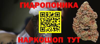 jwh Дубна