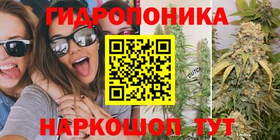 jwh Дубна