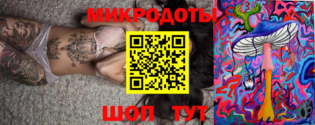 Галлюциногенные грибы Psilocybine cubensis Липецк